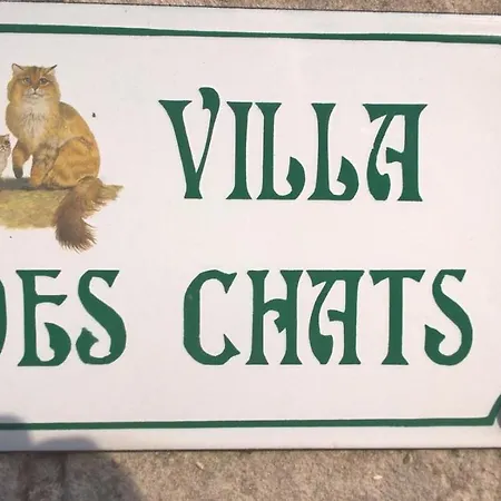 Bed & Breakfast La Des Chats Andrésy
