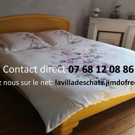 La Des Chats * Andresy