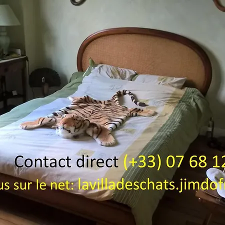 La Des Chats