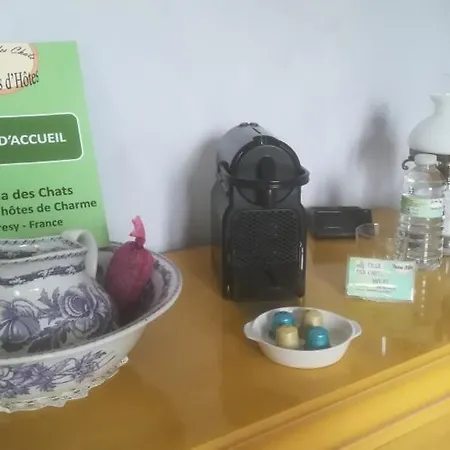 La Des Chats Oda ve Kahvaltı