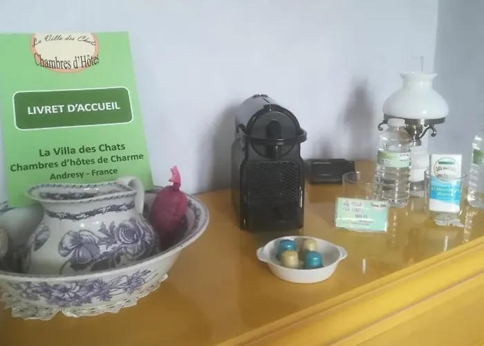 La Des Chats Bed & Breakfast